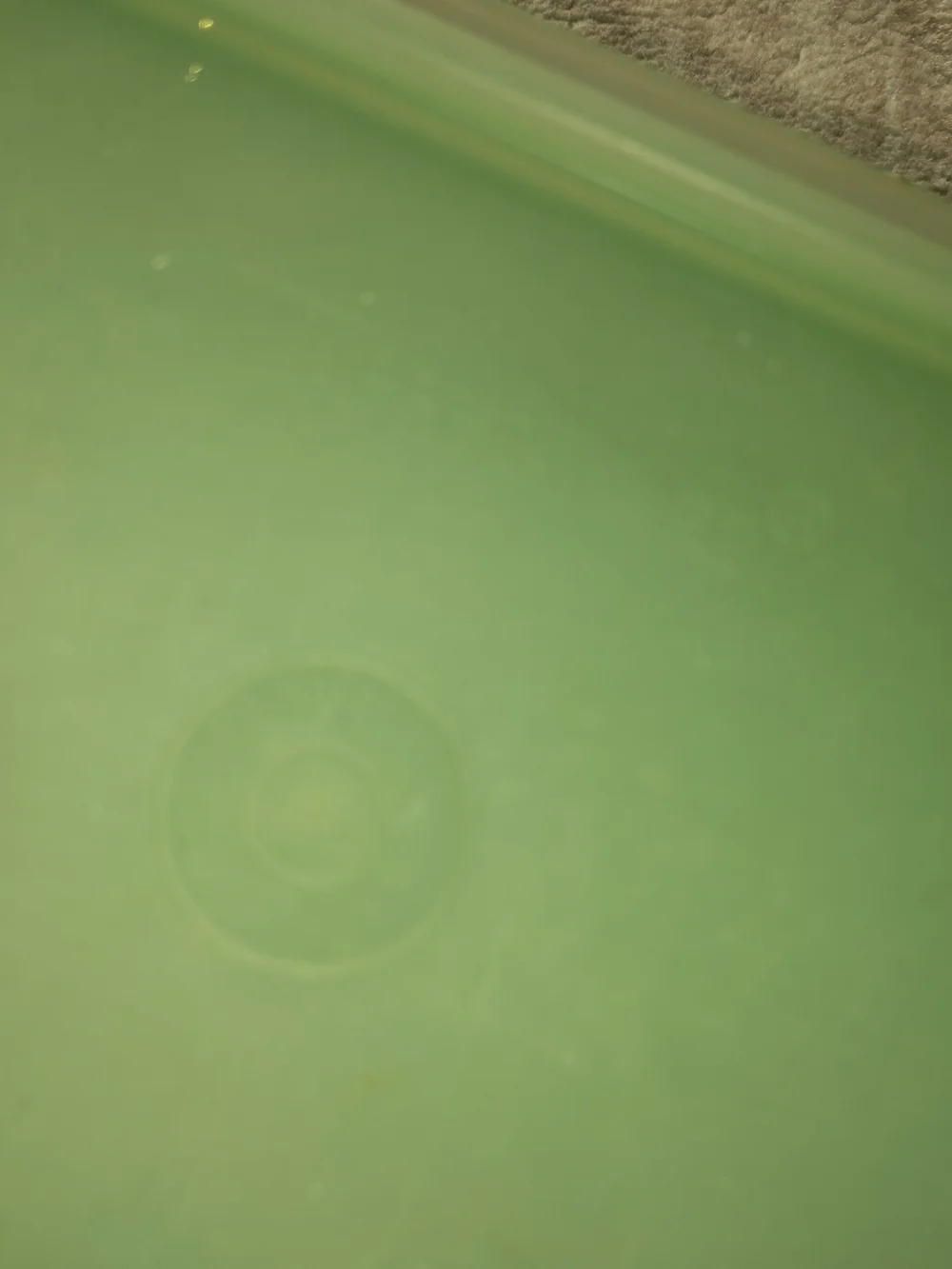 Tupperware Green Food Storage Lid